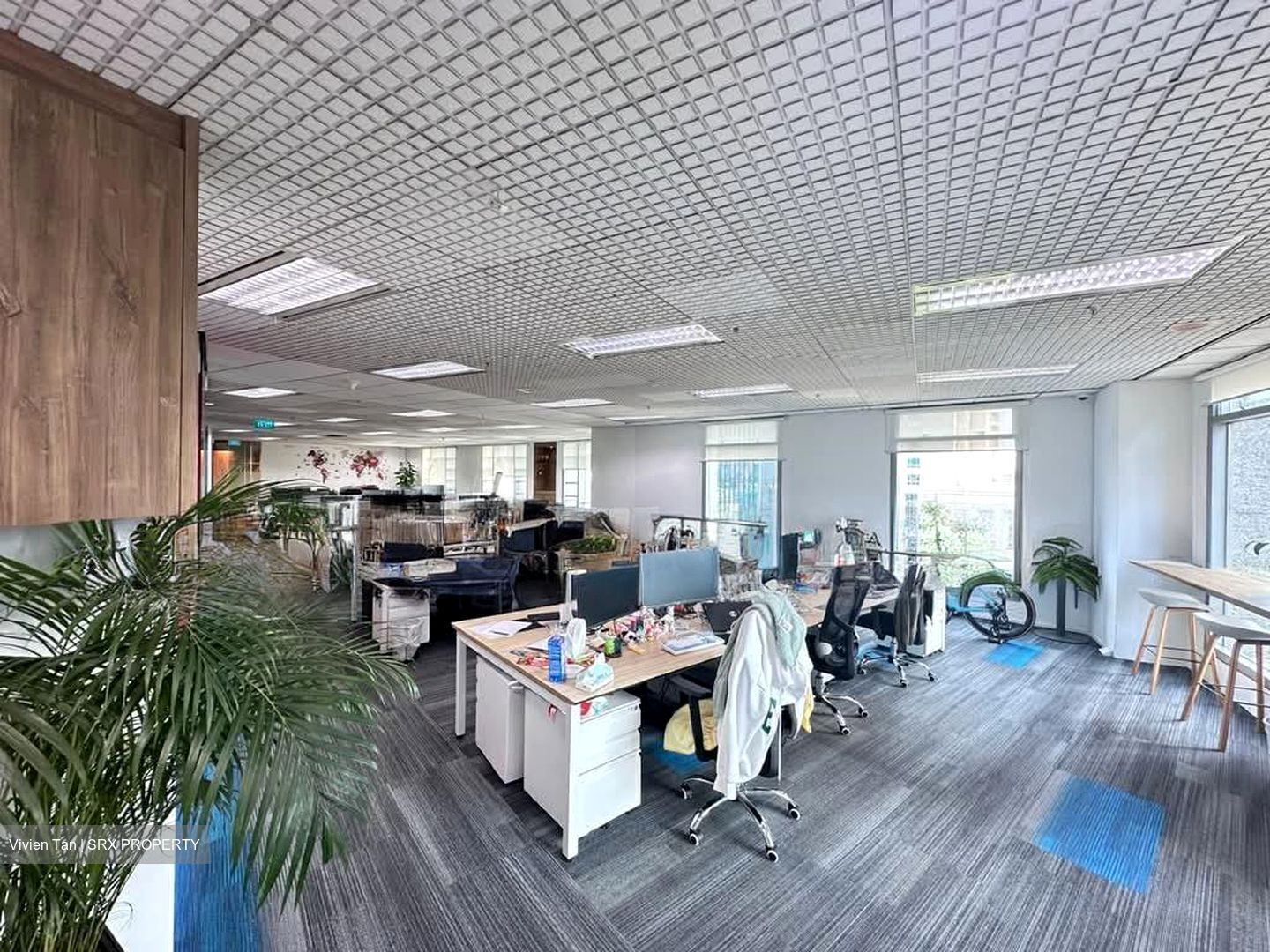Bugis Junction (D7), Office #551231781